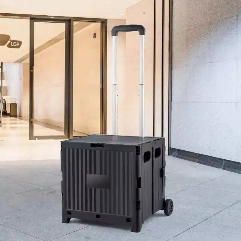 Carrello multiuso pieghevole nero con maniglia telescopica, capacità 36 kg, per 1 persona